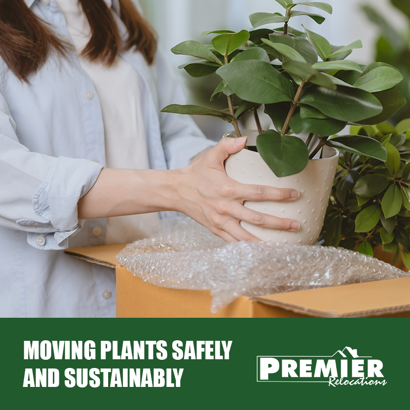 Moving Plants Safely and Sustainably - Premier Relocations